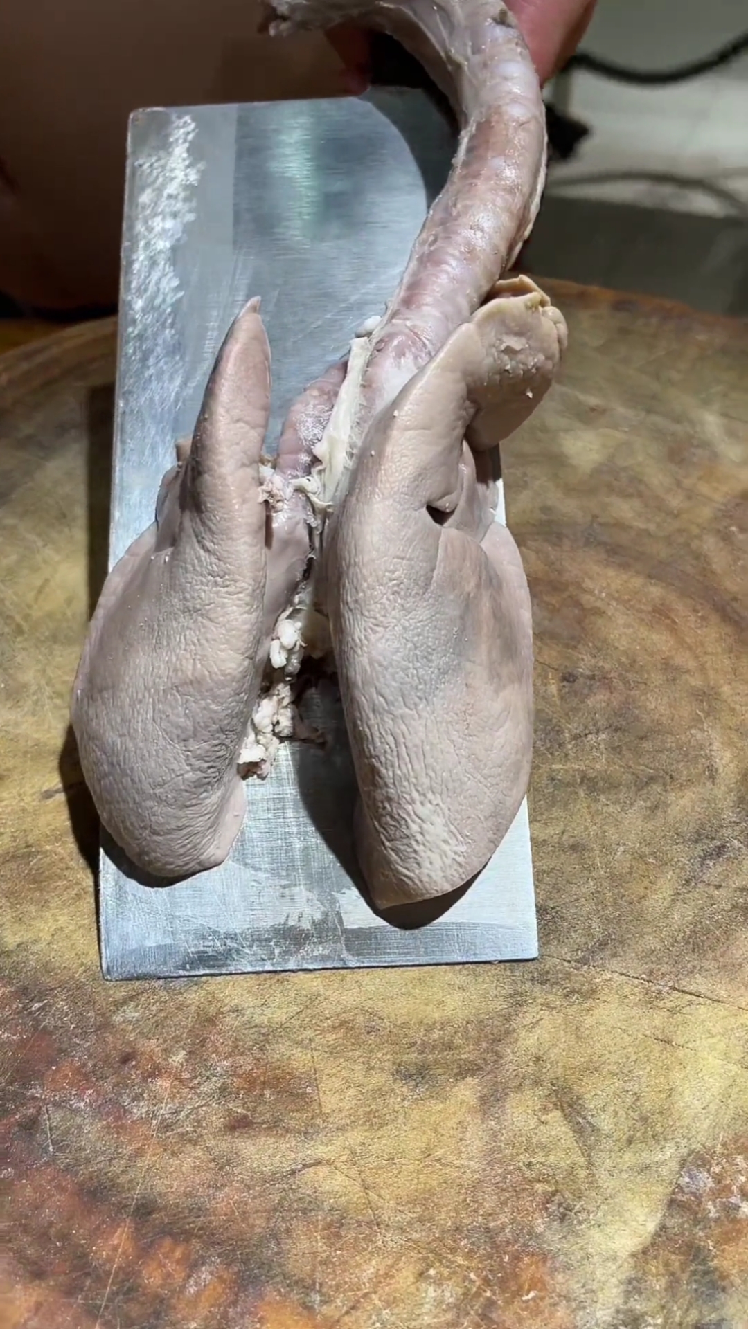 万物皆可烧烤#炭烤猪肺肺.-度小视