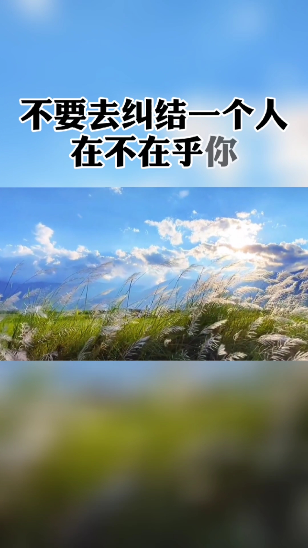 不要去纠结一个人在不在乎你,都是手机不离手的人,你还有什么不明白的