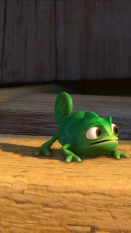 长发公主的宠物小蜥蜴哪里有得卖?-度小视