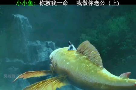海大鱼#报恩无意中救的小黄鱼,报恩要做妖后的老公