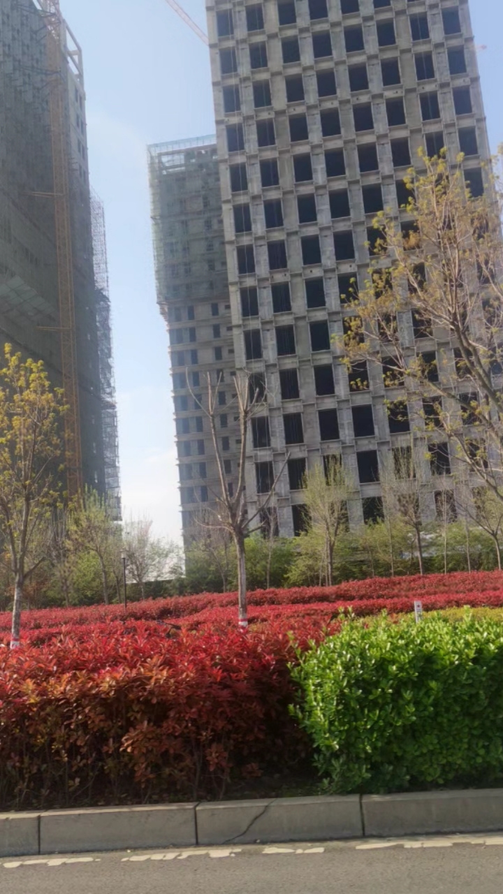 周口周口东新区周口第一大道南侧周口植物园北侧周口第一高楼