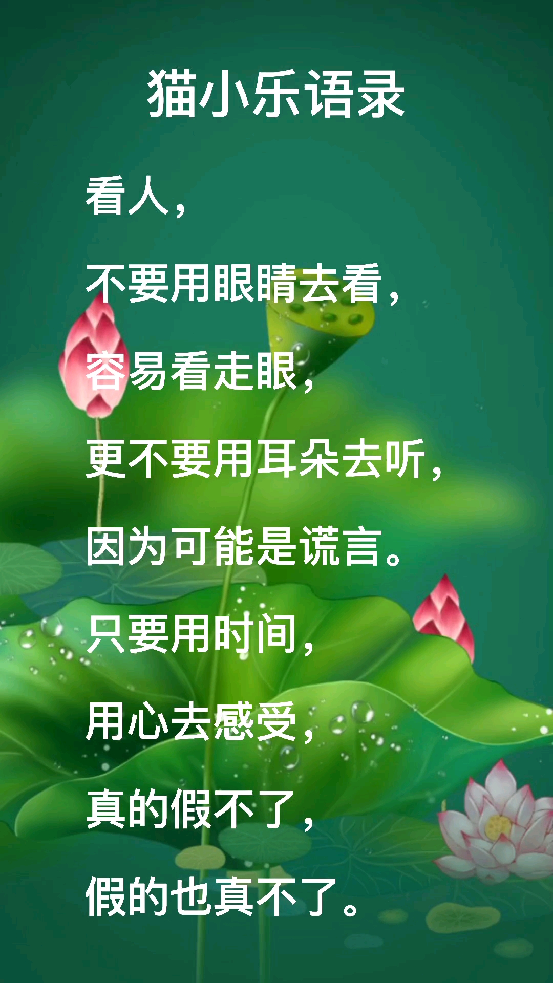 扎心情感语录#透过表面看本质,时间会告诉你答案