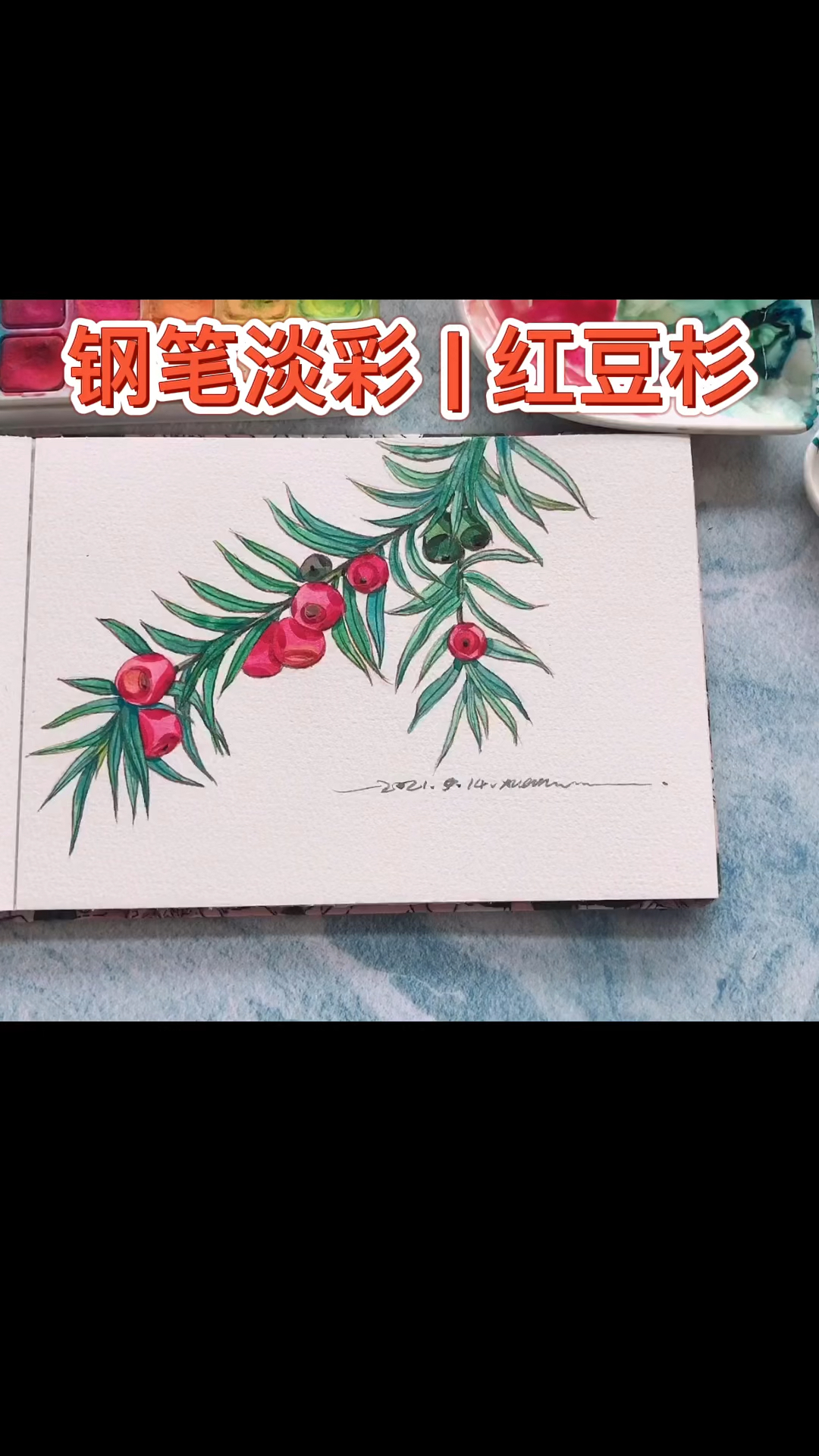 画画原来如此简单钢笔淡彩红豆杉