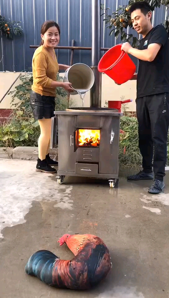 做饭烧水两不误,不锈钢柴火灶台