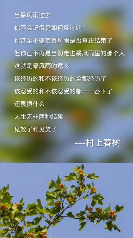 人生感悟#人生无非就是两种结果,见效了和见笑了