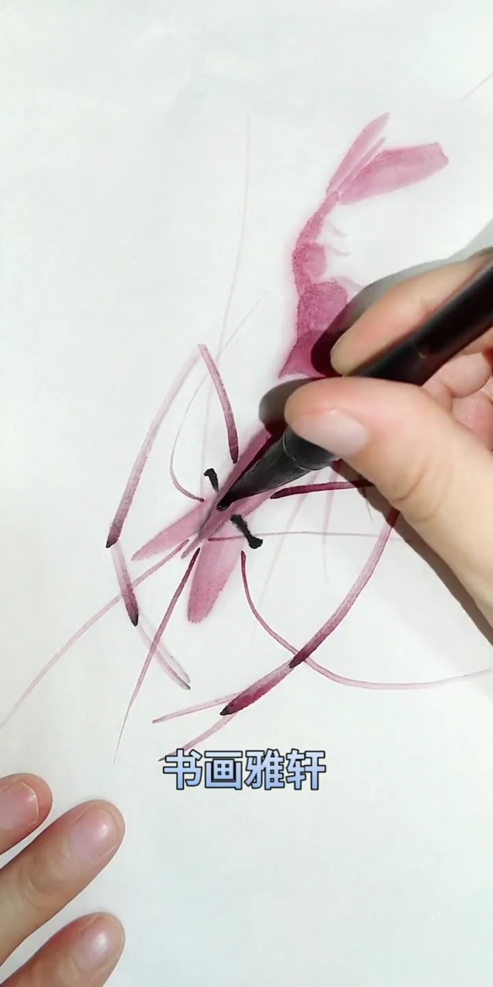 中国画#画红虾助运中国队加油!