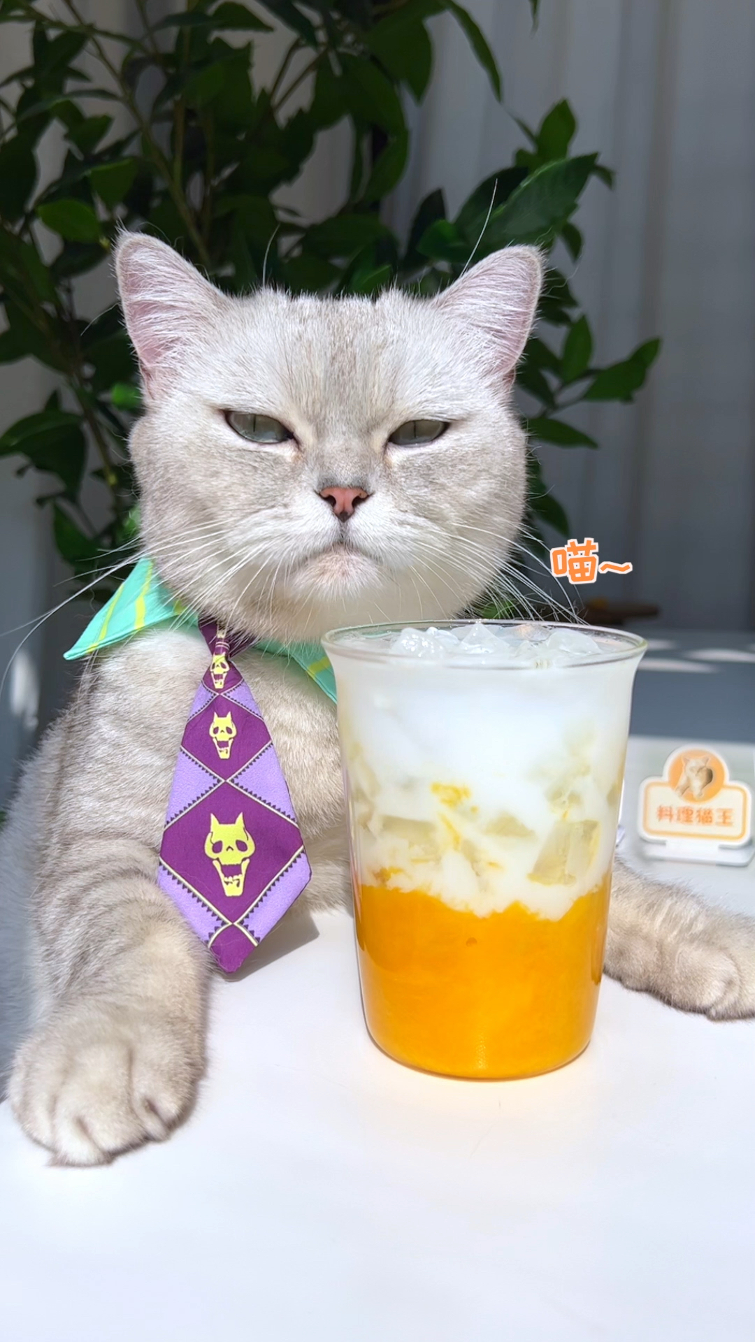 料理猫王做的饮料图片