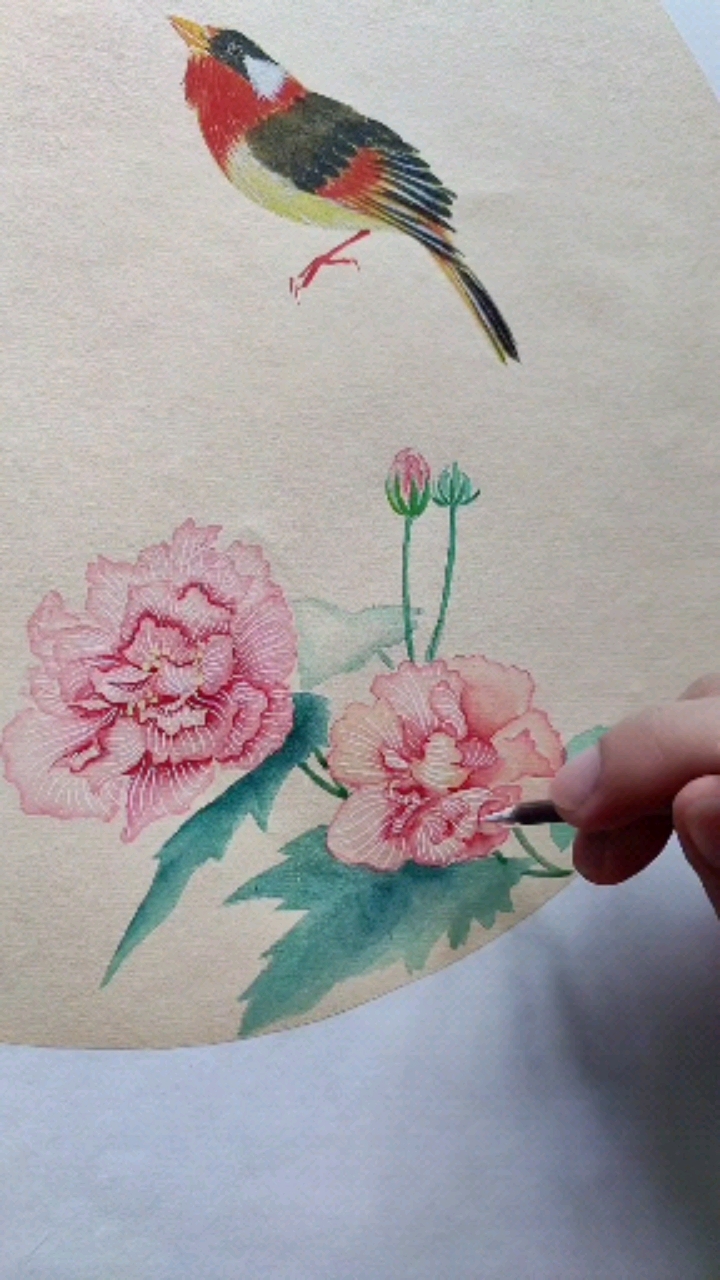 徐伯逸书画用没骨法画芙蓉花