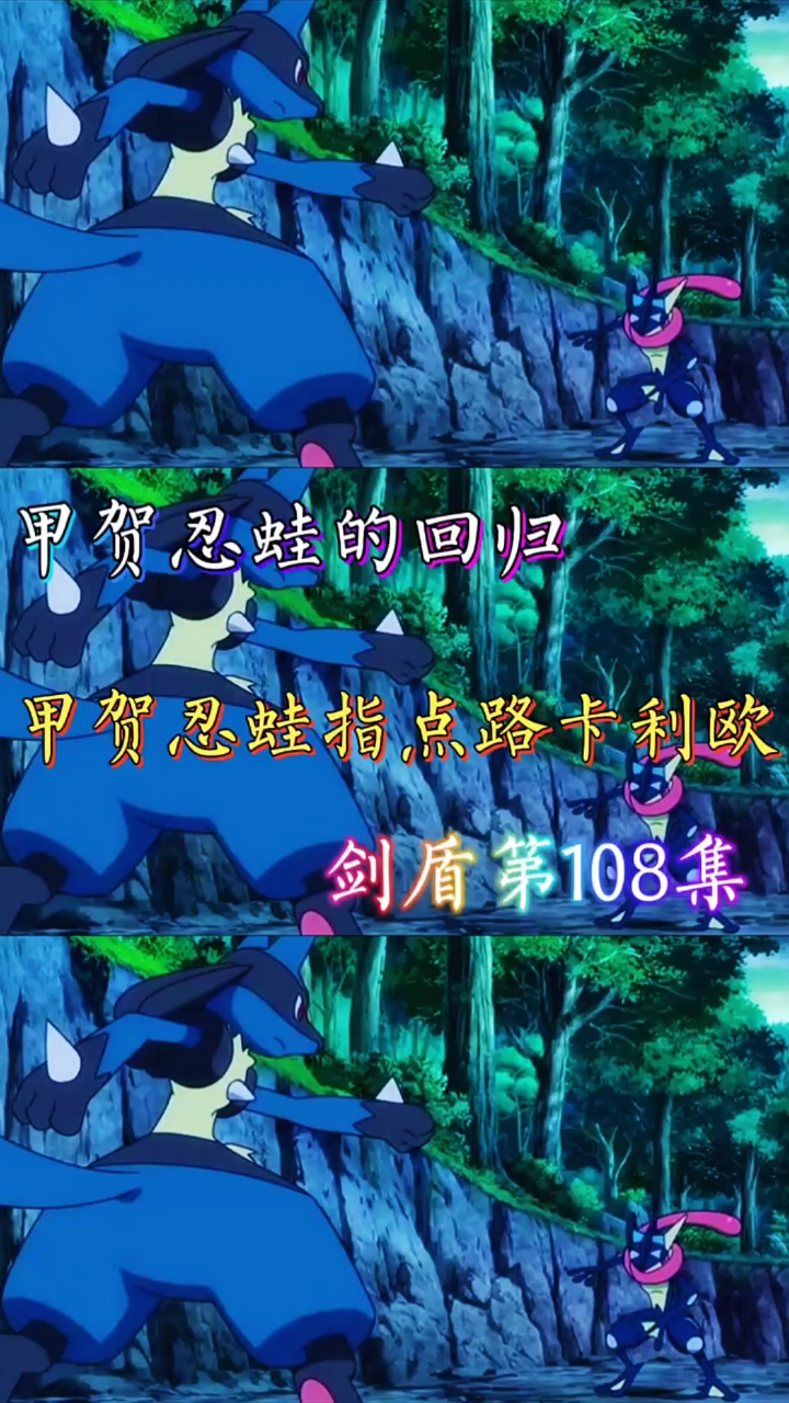 甲贺忍蛙的回归,甲贺忍蛙指点路卡利欧.(剑盾108集)-度小视