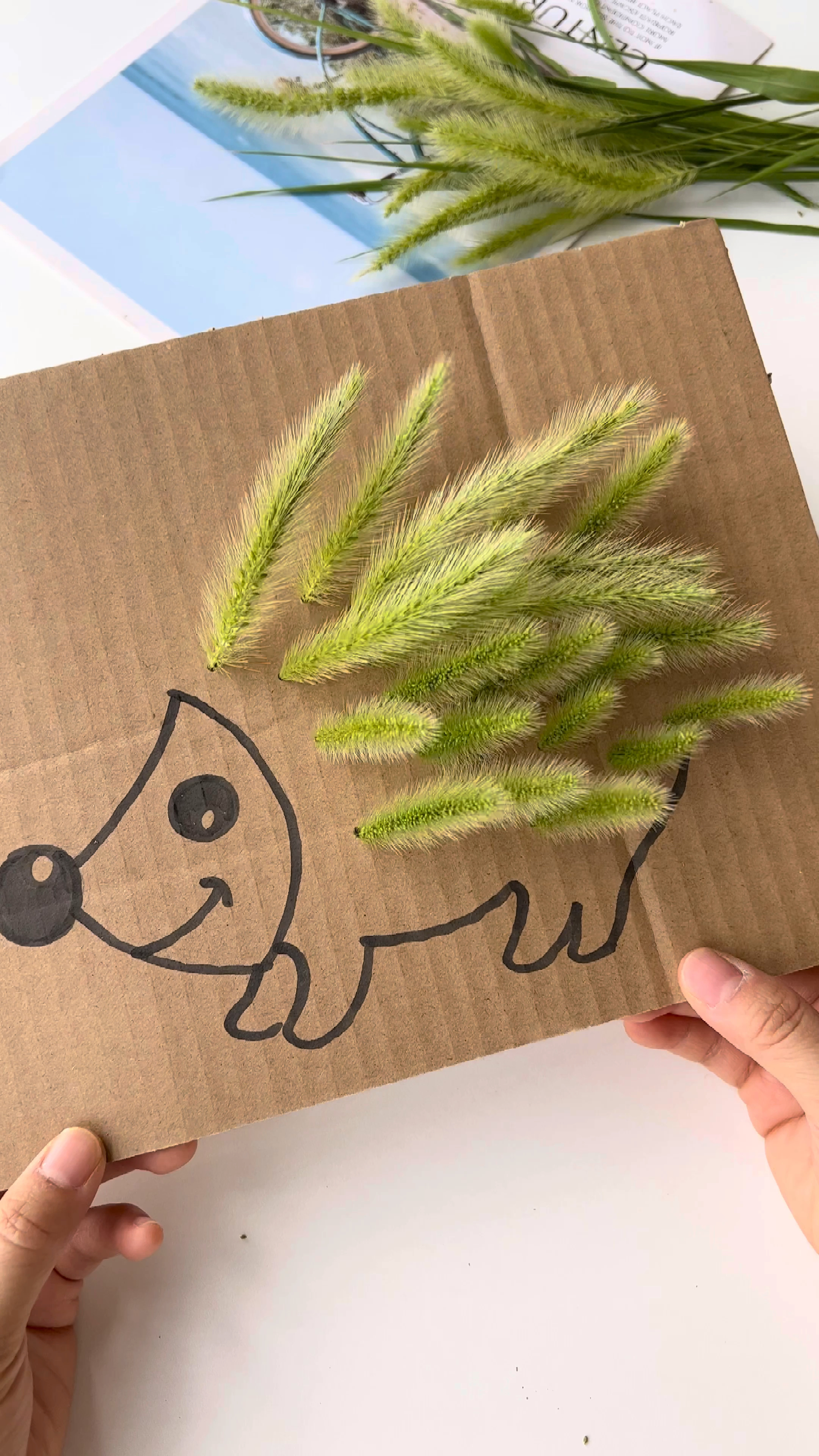 狗尾巴草做刺猬