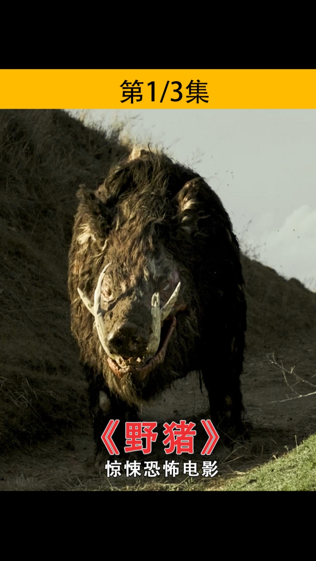 电影解说#情侣野外露营,遭遇巨型野猪