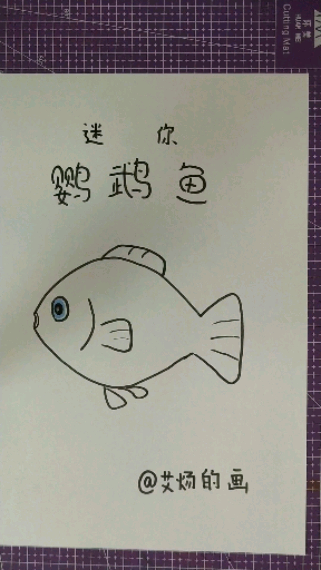 热带鱼鹦鹉鱼的简笔画图片