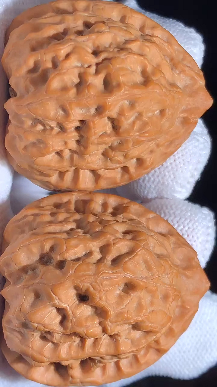 文玩核桃#野生佛肚