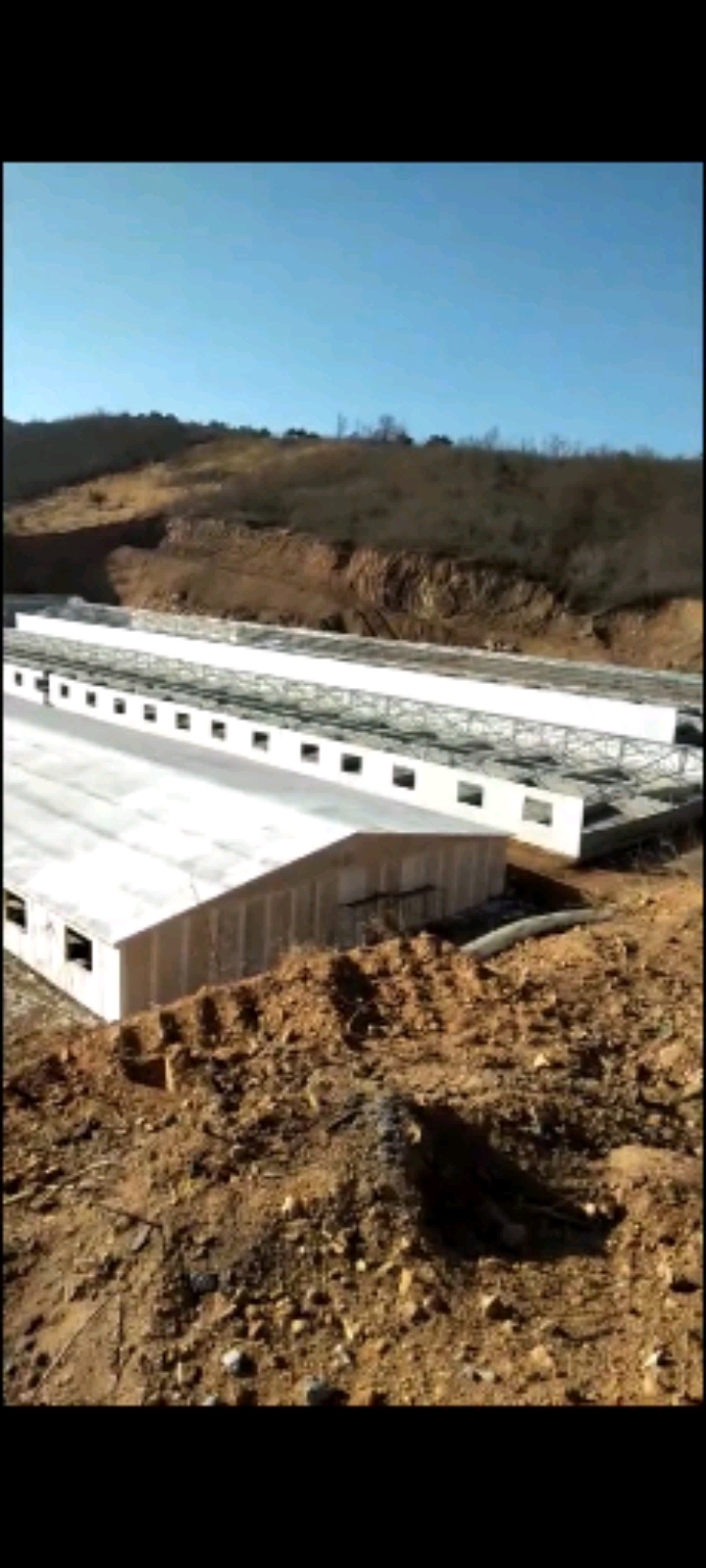 养猪#保温猪舍如何建设养猪场