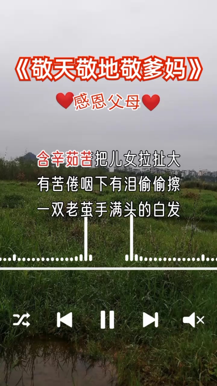 父亲节#天大地大父母恩情最大,这首敬天敬地敬爹妈让多少儿女簌然泪