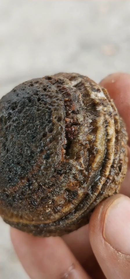 这个大天眼原石不知哪位独具慧眼?