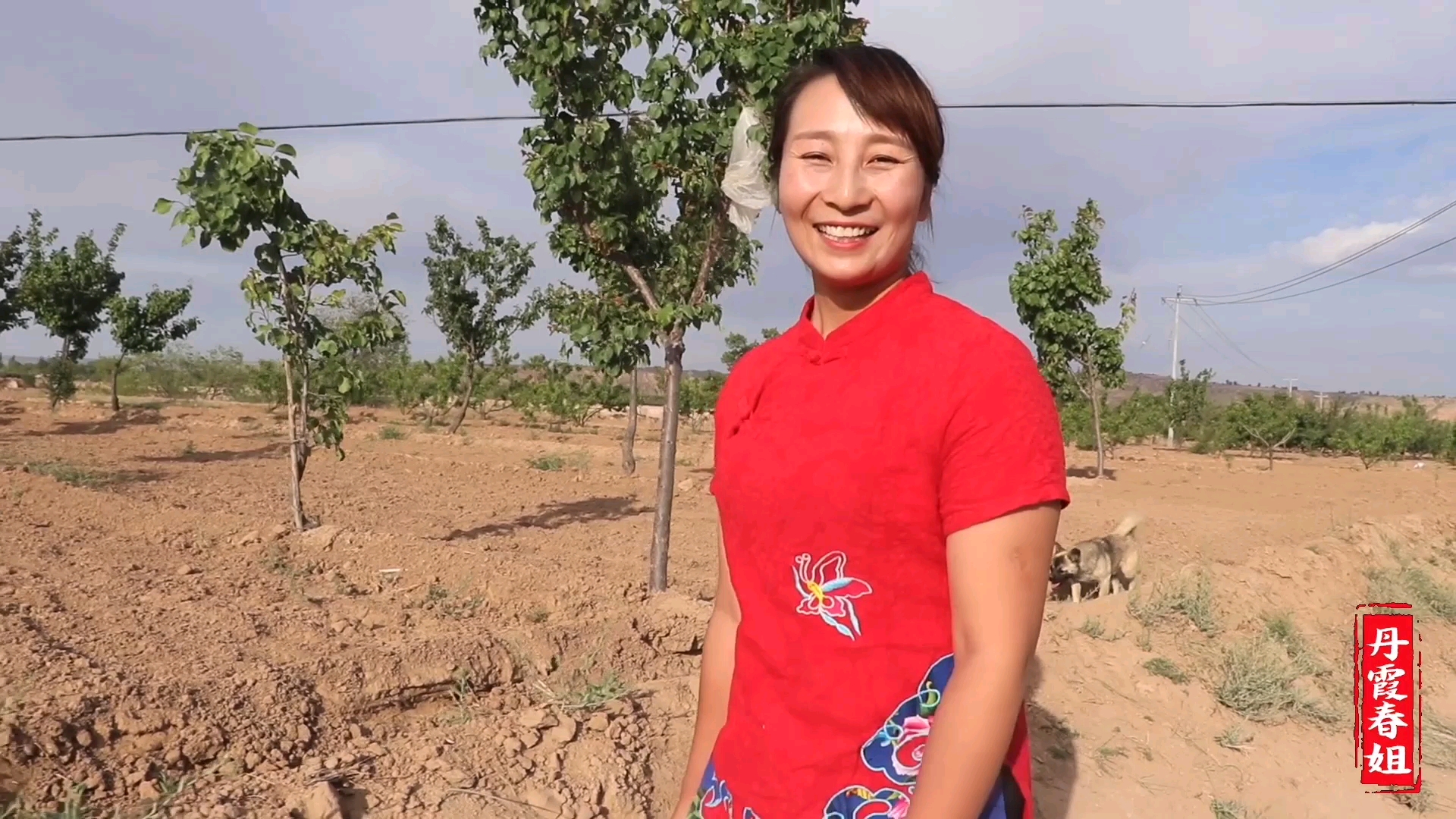 家乡特色美食#肉沫茄子的做法