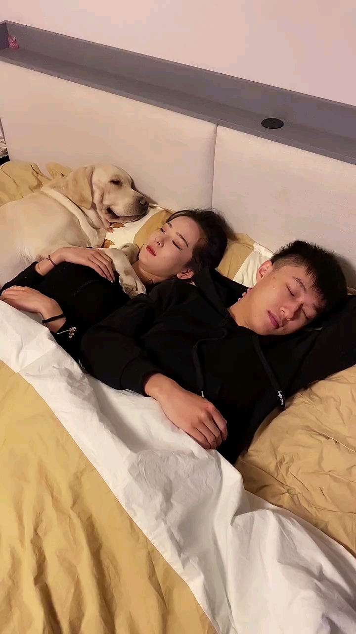 搞笑段子剧#狗子:竟然当着我的面撒狗粮,过分!#萌宠#狗狗成精了