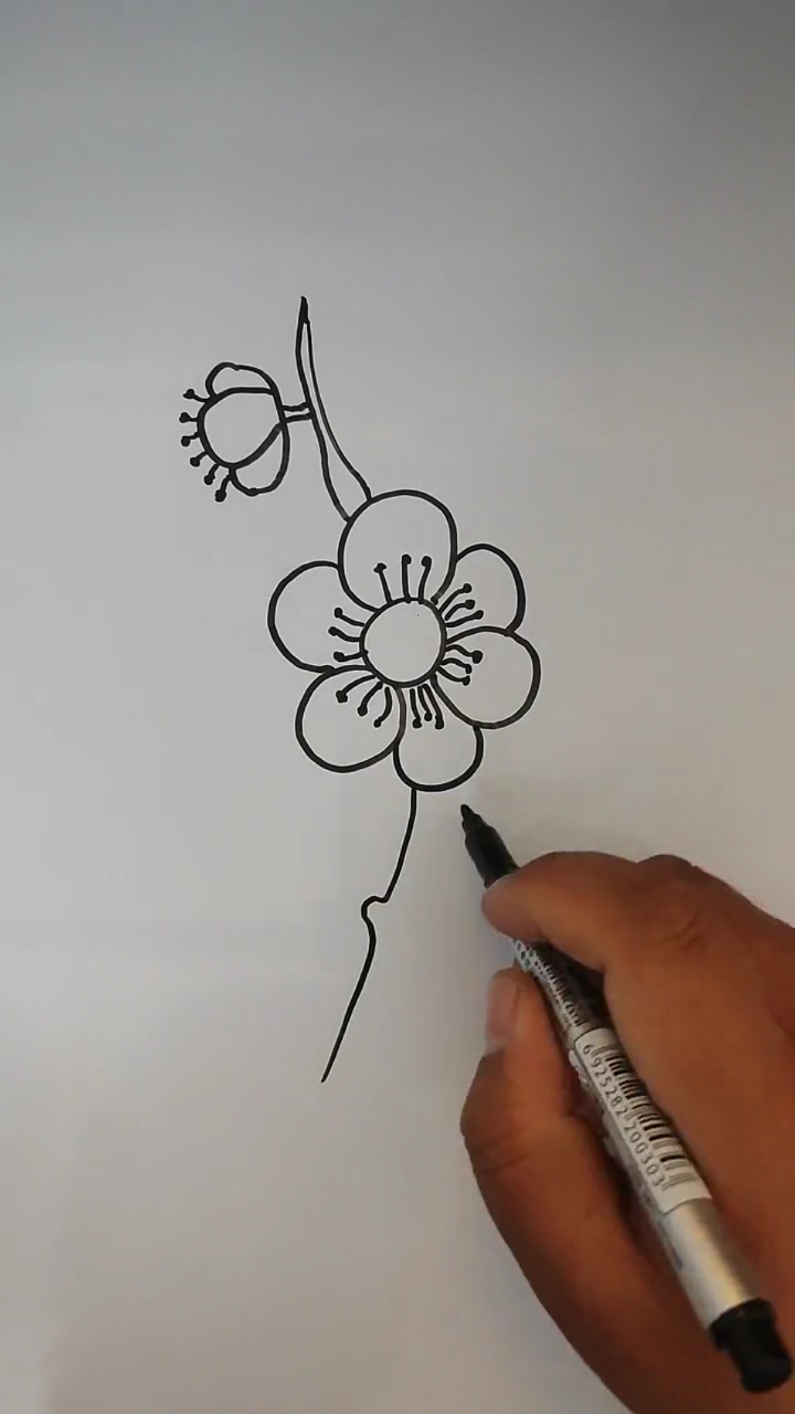墙角的花怎么画简笔画图片