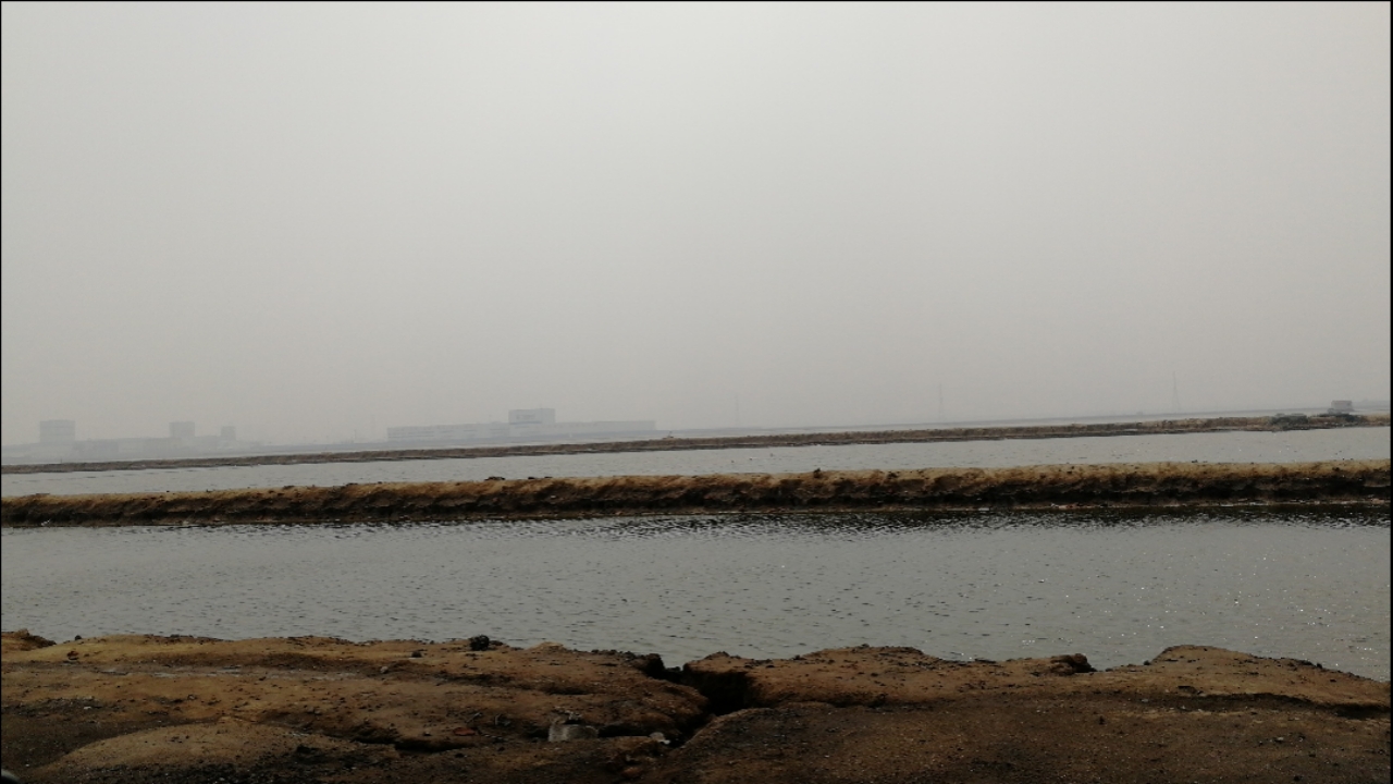 春天来了#黄骅港海边一角海风呼呼的吹太阳也请假了-全民小视频