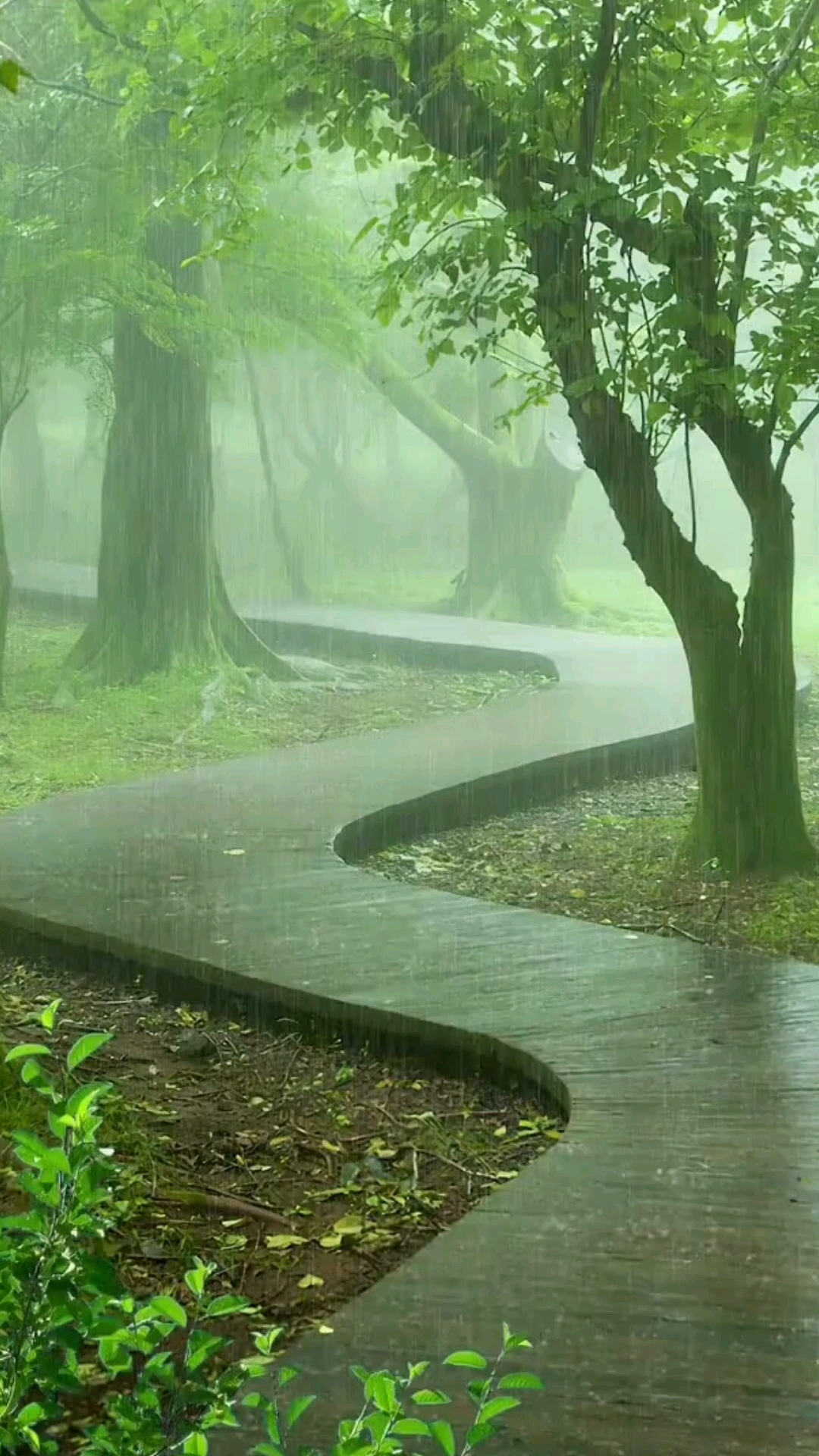 我不喜歡下雨天,但我喜歡下雨的聲音.