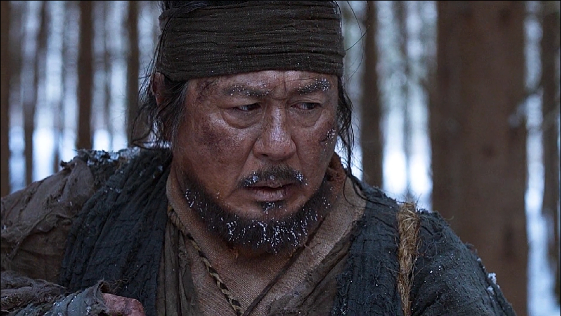 大虎#猎人打死了母虎,却救下了两只幼虎