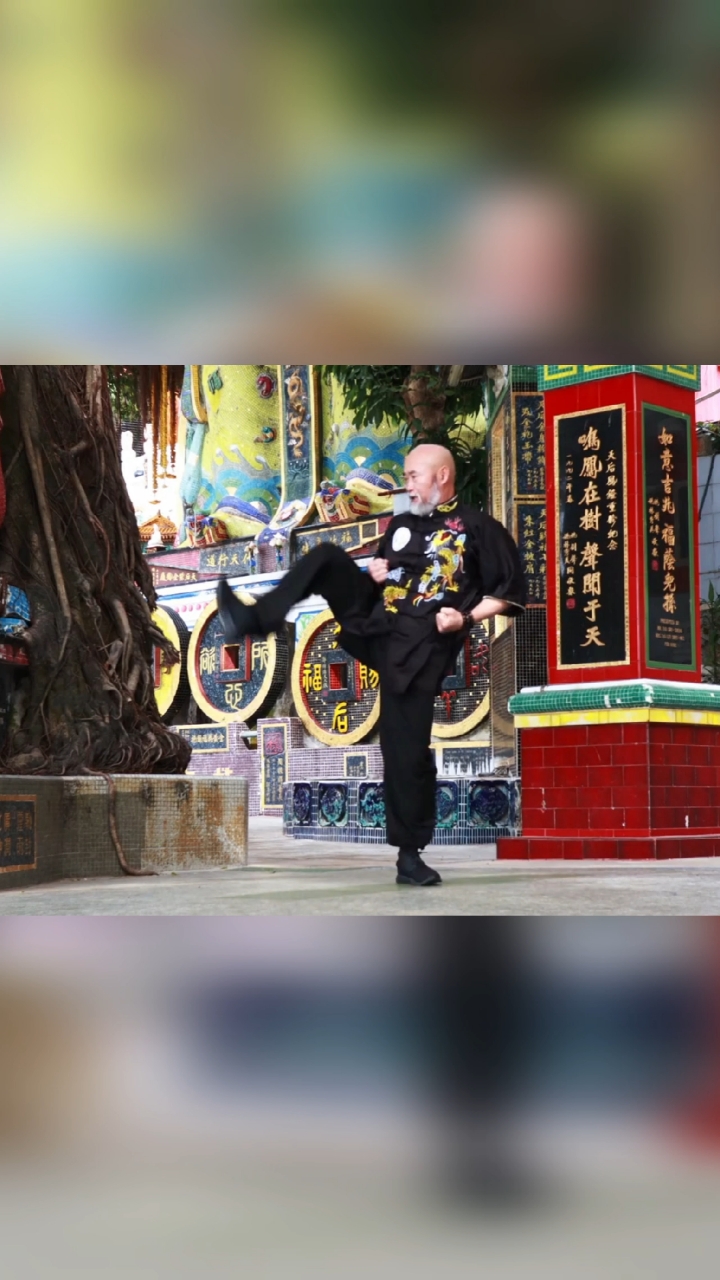 中华武术岭南洪拳张本良师傅演练的铁线拳