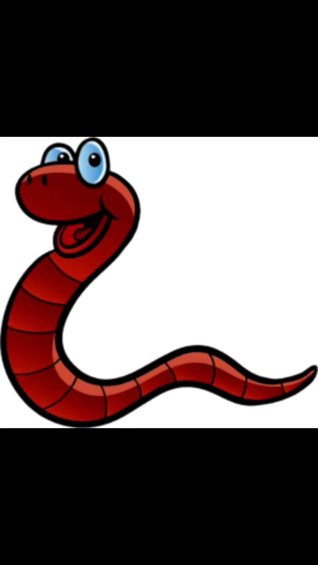 广地龙是什么广地龙养殖基地