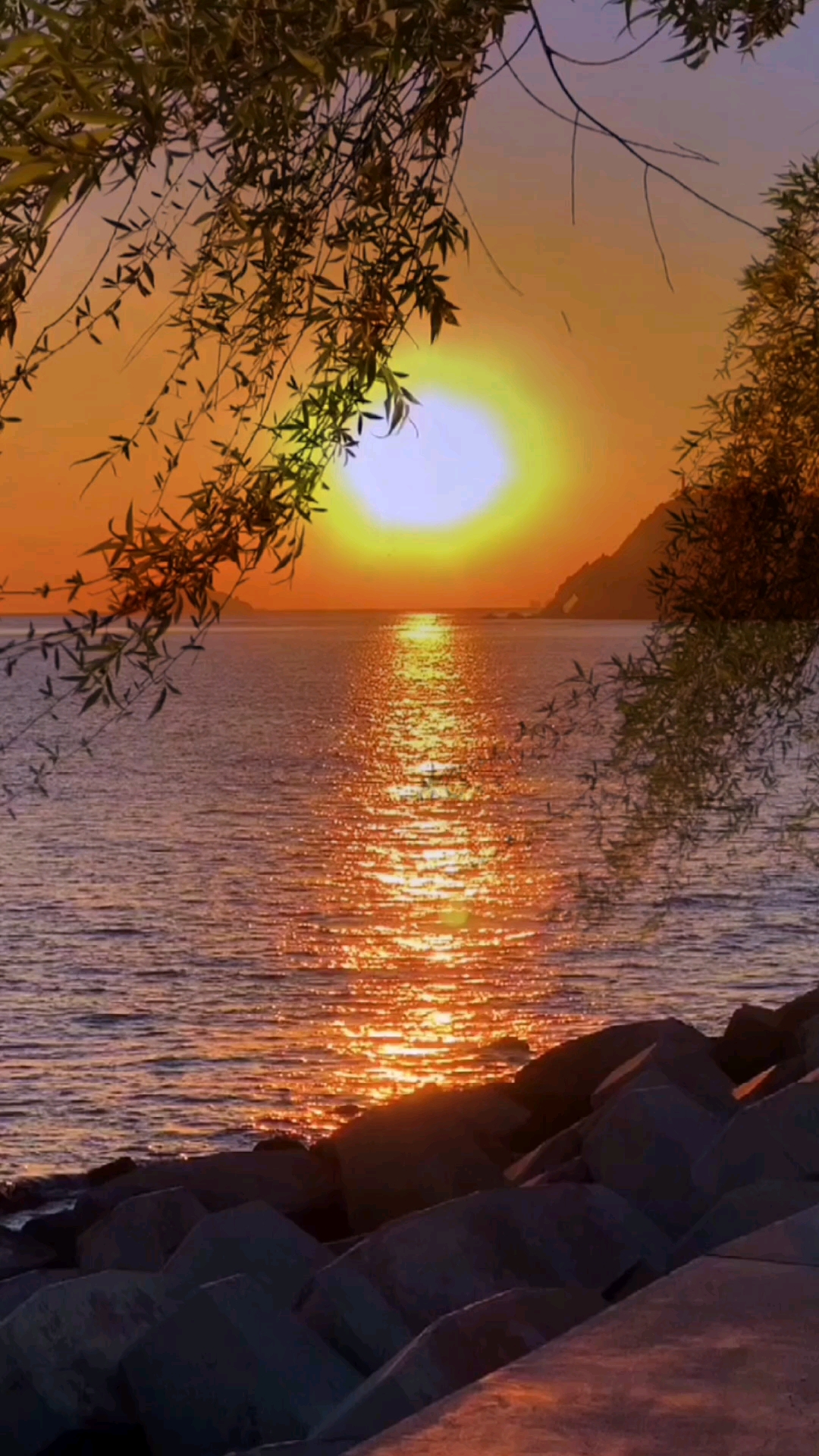 记录生活#我吹过你吹过的晚风