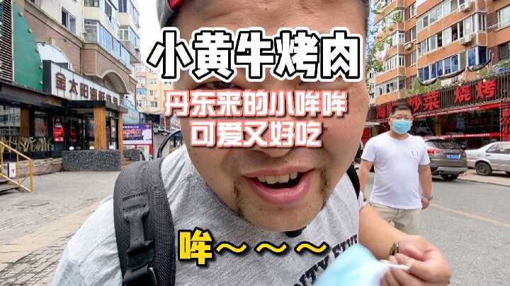 307医院黄牛预约挂号解惑黄牛票贩子电话的简单介绍