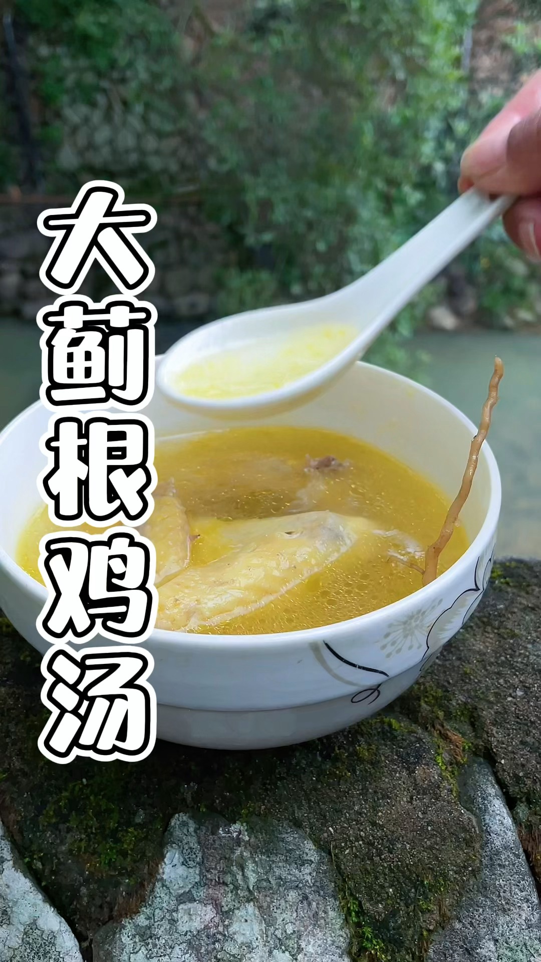 大蓟全身都是宝,它的根可是煲汤的好材料-度小视