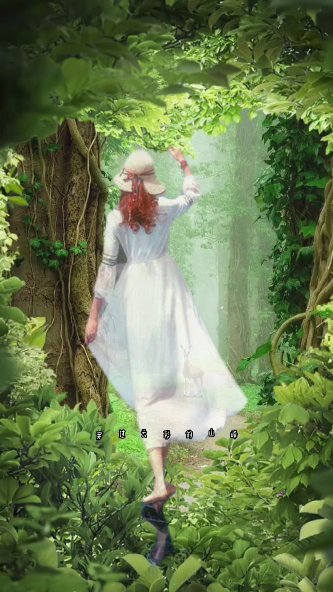 手机摄影#bgm是刘珂矣的《流星白羽》,超级好听.