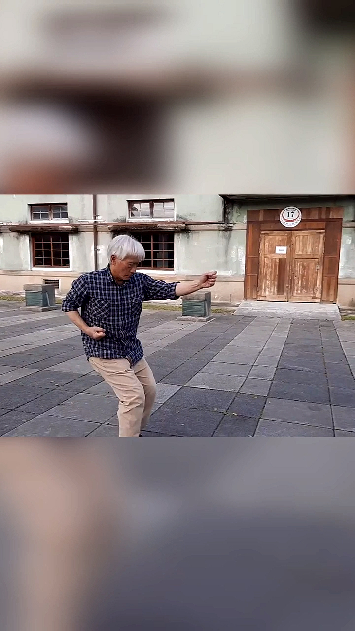 形意拳形意拳五行拳之崩拳