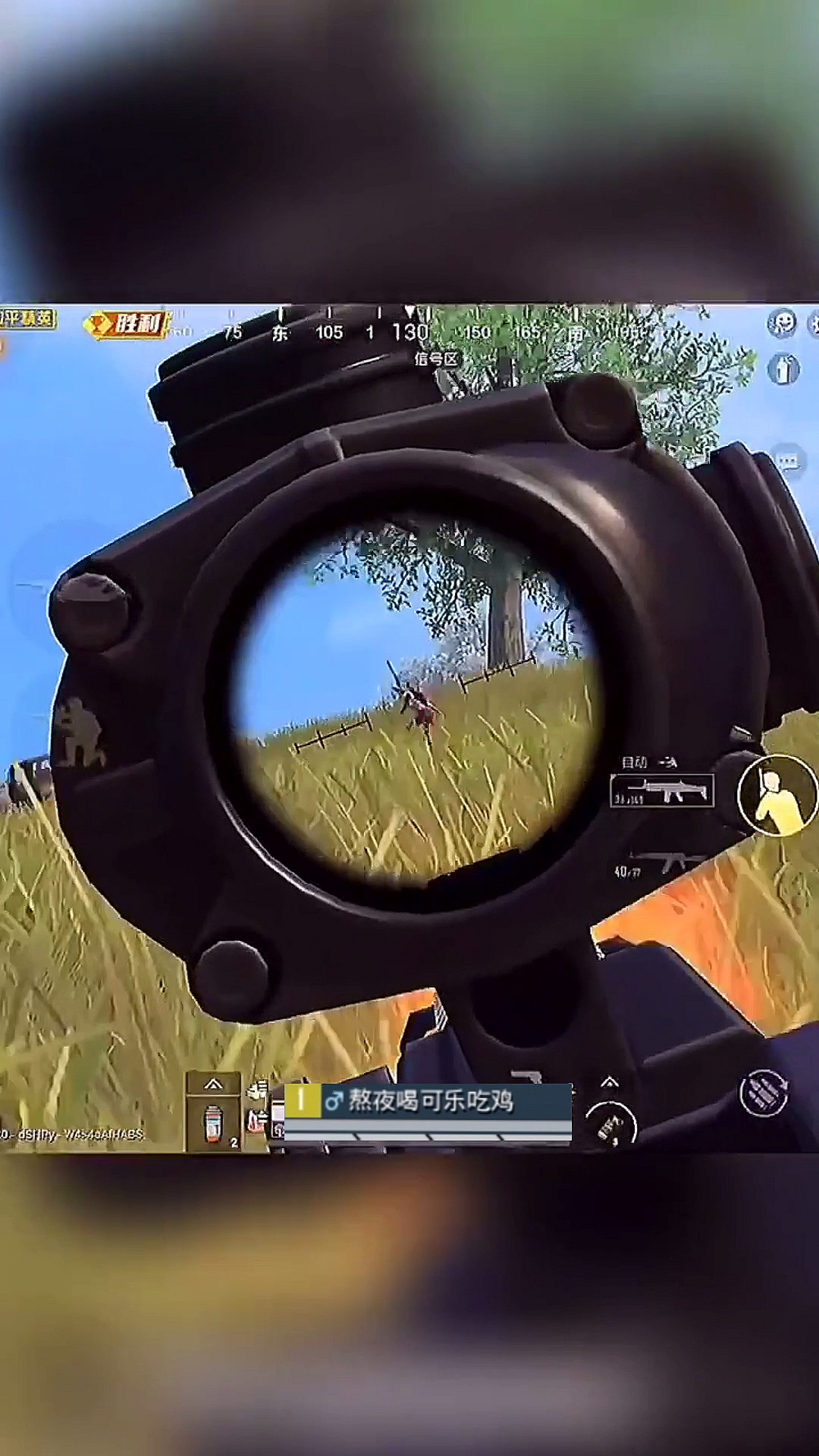 少年#一人打满编队吃鸡能否成功.