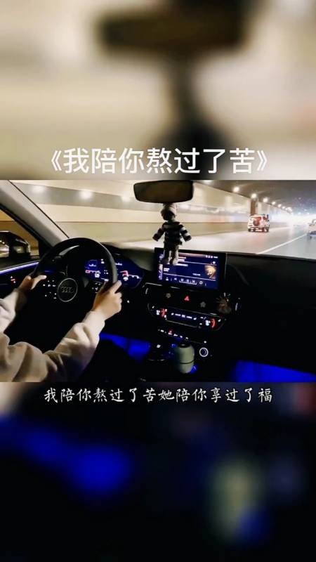 我陪你熬过了苦,她陪你享过了福,我输得彻彻底底,她赢了全部!