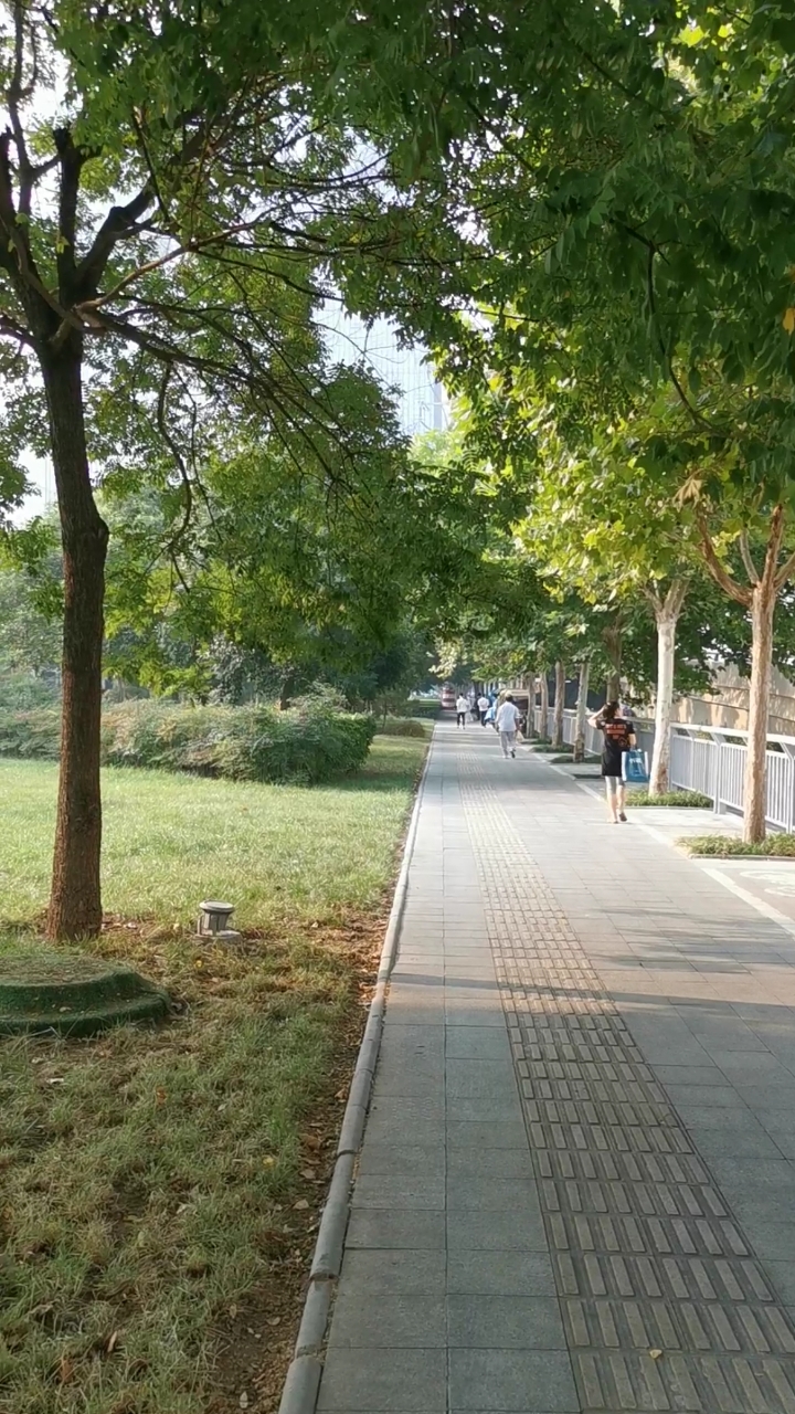 郑东新区人行道和绿化带,这才是大都市的风采-度小视