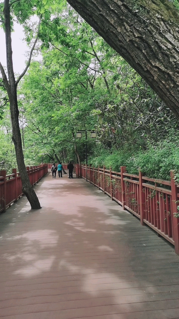 廣元生態環境很好的溼地公園區塊鏈