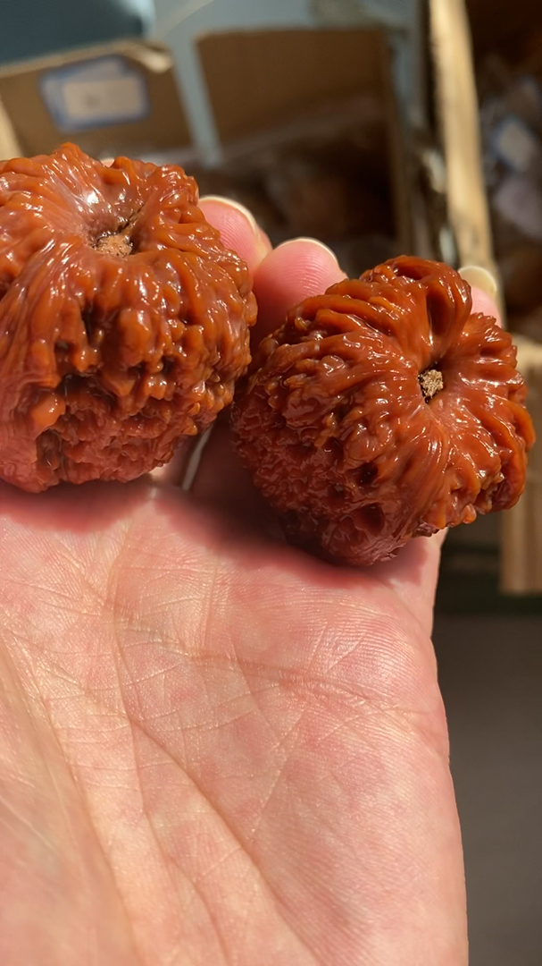 文玩核桃##文玩核桃这个大凹底蚂蚁纹可以吧