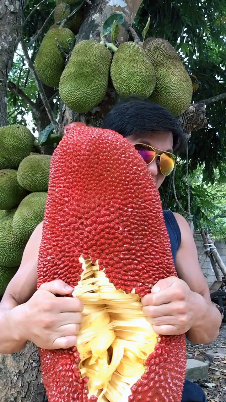 美食看中国#见过红色的菠萝蜜吗,今天徒手开一个.