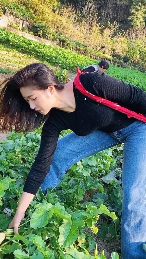 农村美女#拔点萝卜回去,中午炖羊肉吃.