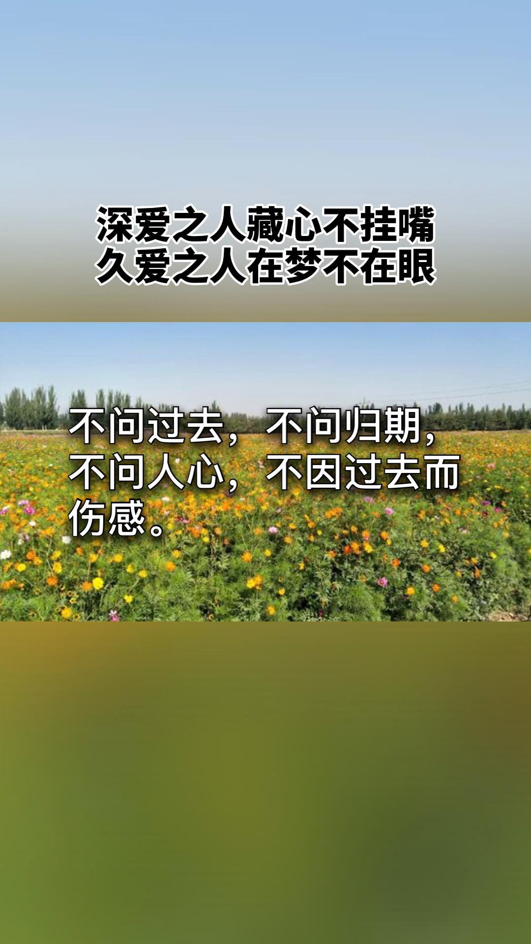 扎心情感语录#内心却是一片荒芜,等一个一生都等不回来的人.