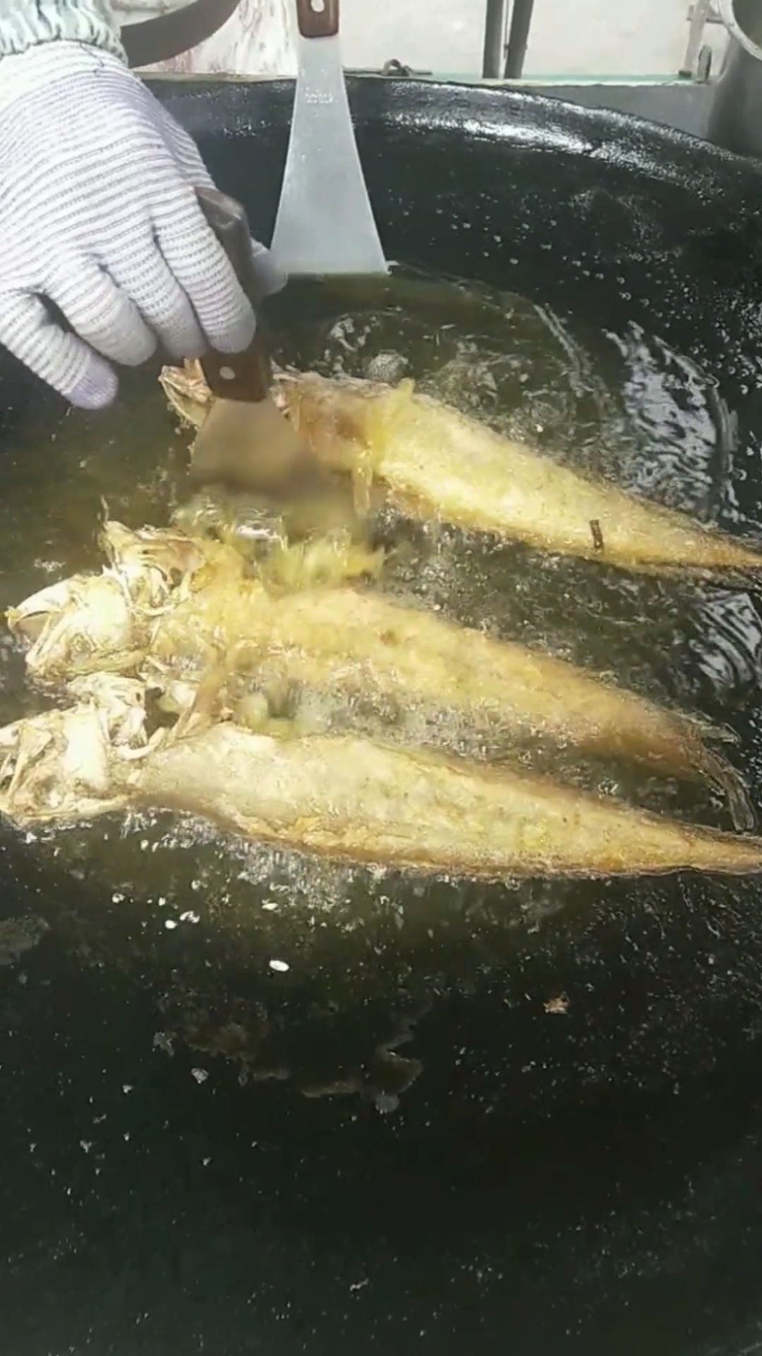 大佛煎海鱼#临清大佛煎海鱼香煎凤尾鱼香煎偏口鱼味道鲜美可口肉质