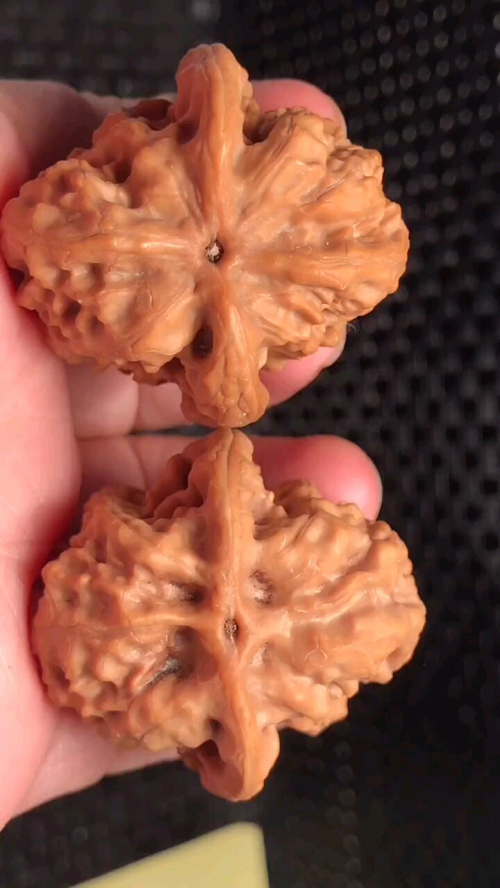 文玩核桃#昌闷,这底有个看头儿吧!野狼此款里的大尺寸,38肚40.