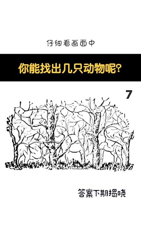 考眼力#你能找出几个动物呢?