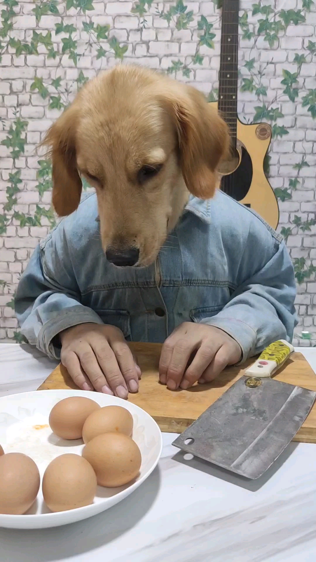 狗头先生今天吃鸡蛋咯!