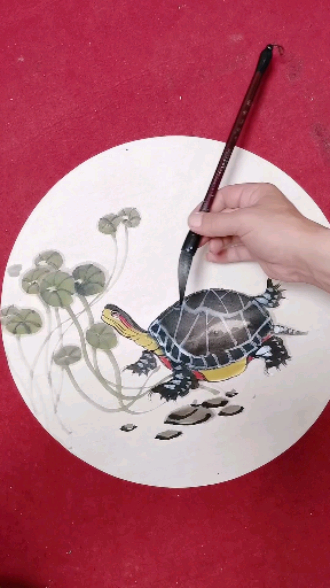 国画写意花鸟画#国画写意乌龟画法