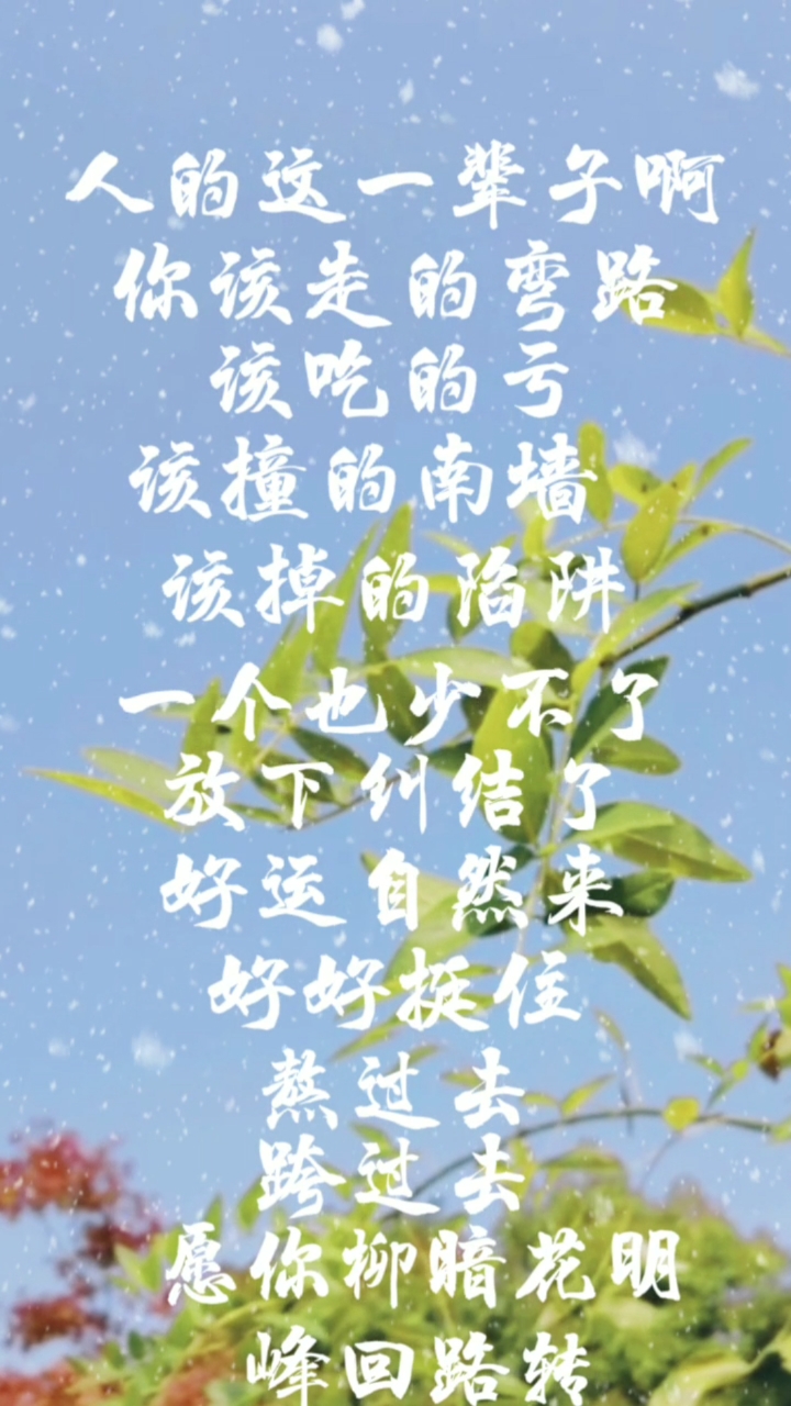 人生感悟!#人这一辈子呀.