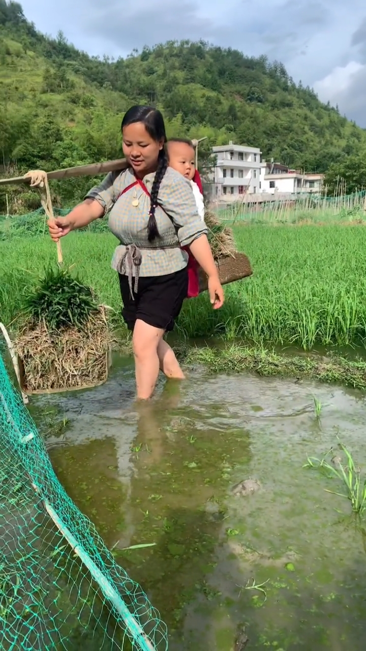 农村农村妇女背着小孩挑秧苗