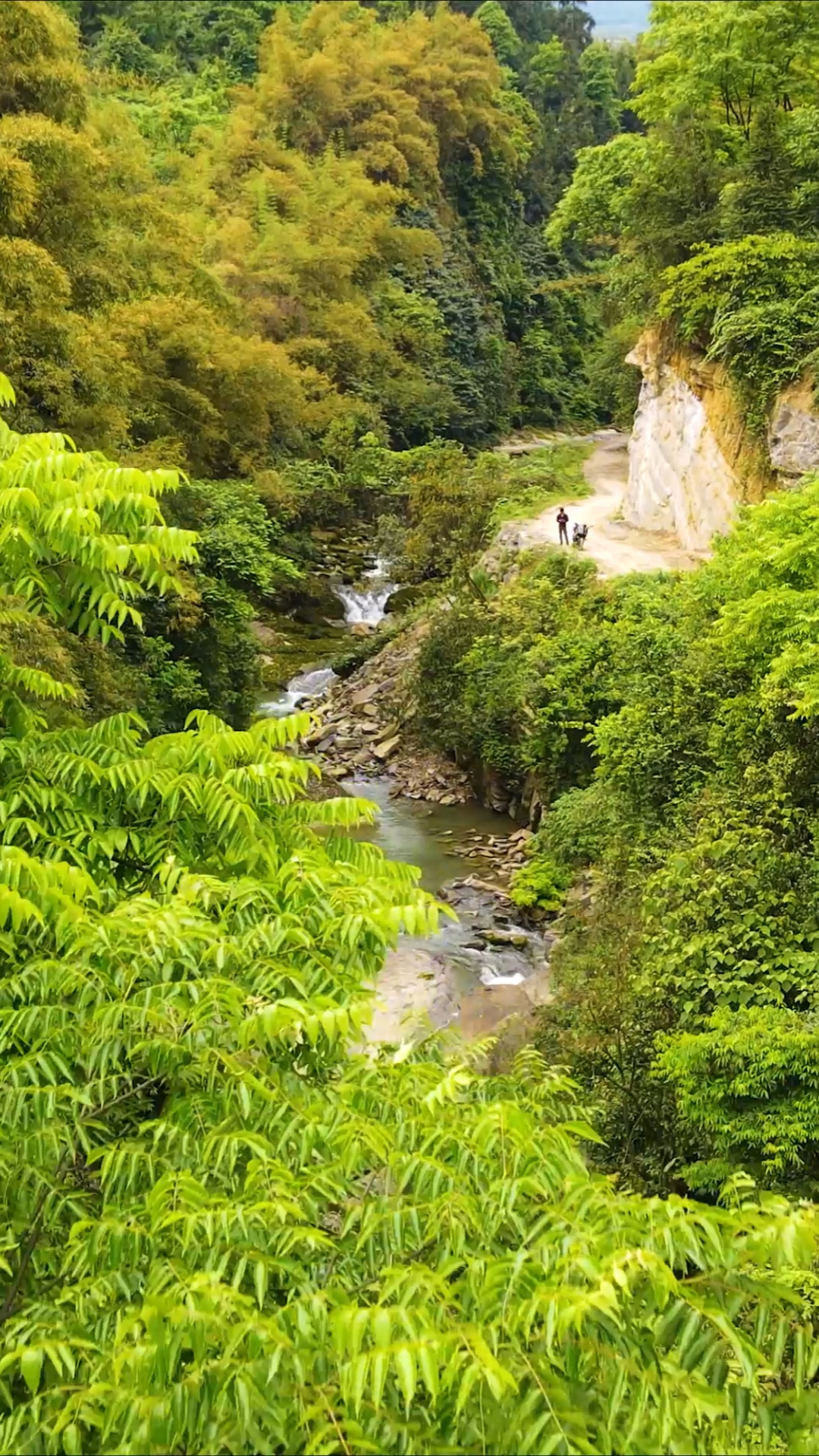 春日心愿旅行地#今天给重大网友分享一下农村大山沟里的风景-度小视