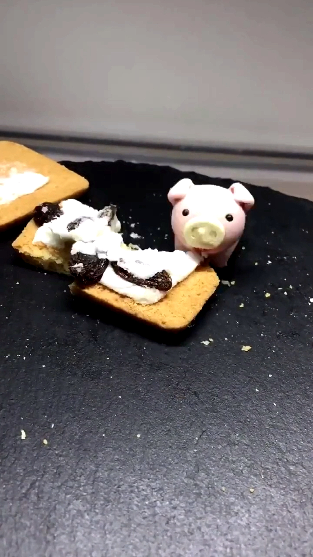 猪小萌#干饭小猪永远都吃不饱